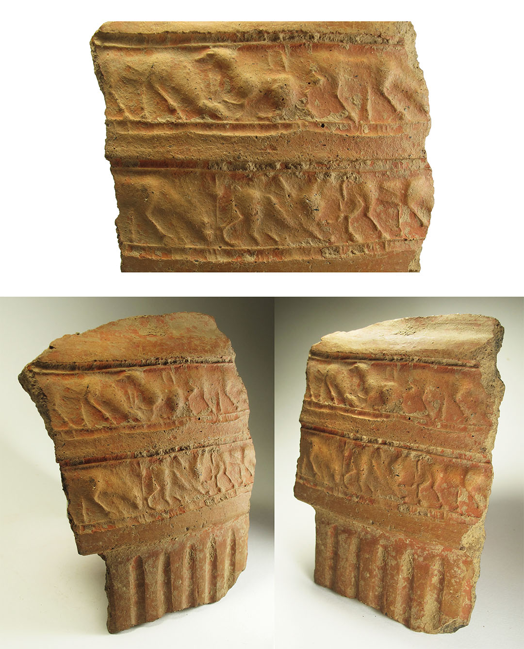 Last-Coins/Artifacts.-Purchased-In-2021.post-Yours!